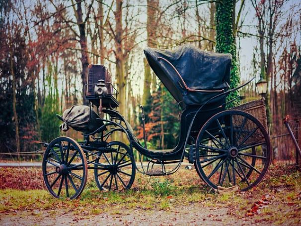 따뜻한 물 지속적으로 마시기