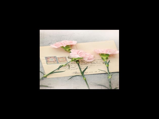 교통범칙금 조회 방법