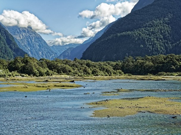 고지혈증과 고혈압의 차이는?