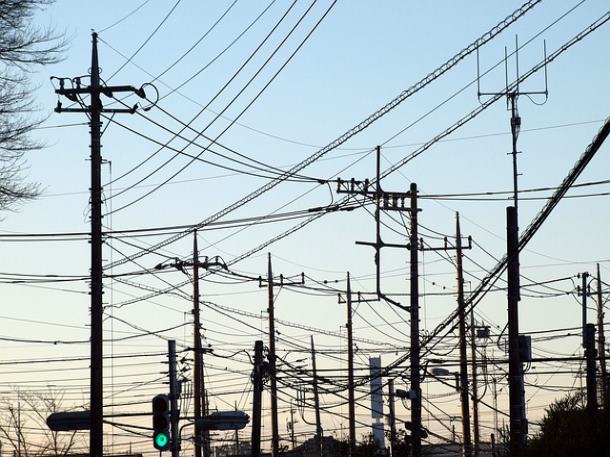 2 뱀이 집으로 들어오는 꿈