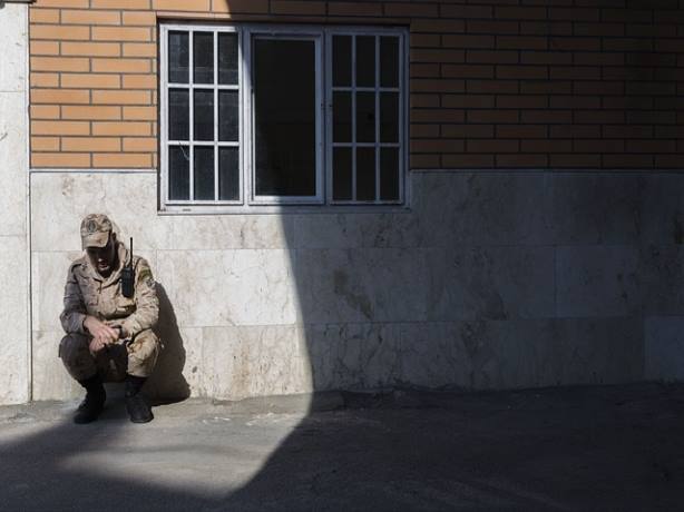 성남 분당구 분당중앙동물병원