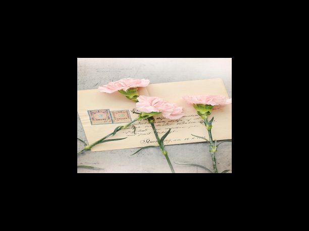 5가지 기프트 중에서 해마다 1가지를 선택