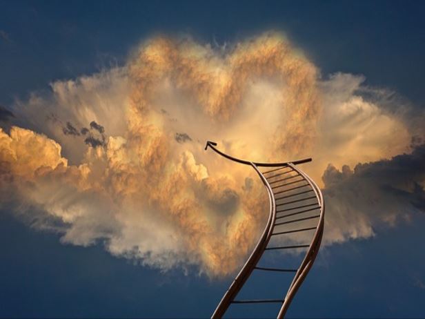 폐기물 무단투기 신고 포상금