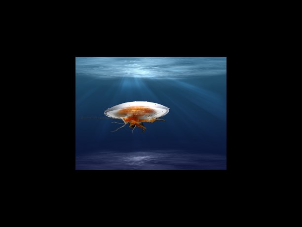 생계를 같이 하는 부양가족