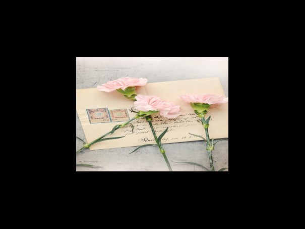 유청 단백질의 부작용