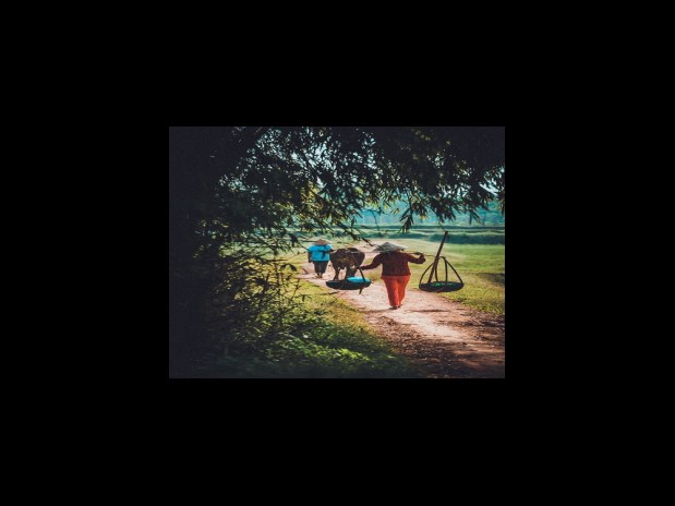 2023년 독일의 사회보험료