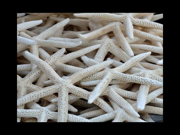 해외여행 시 필수 상비약