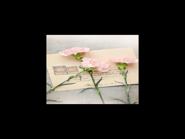 생활지원사 모집 기간 및 모집공고 알아보기