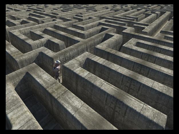 지용성 비타민 E의 기능