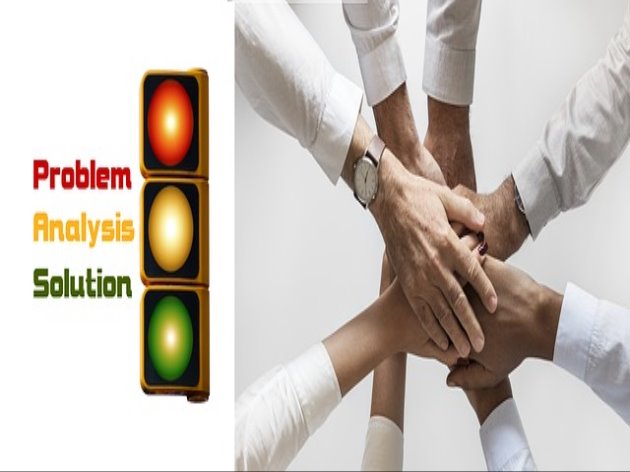 아레카 야자의 크기와 환경