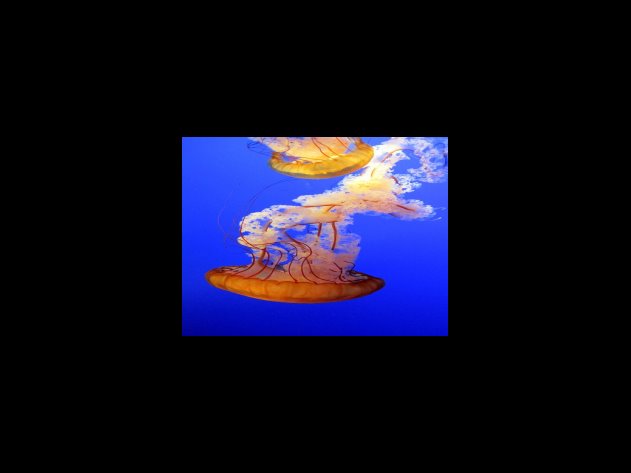 권장 프롬비 개선 히터팬 전기온풍기 FC189 리모컨 포함