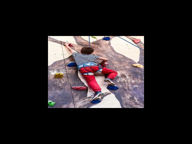 장애인활동지원사 급여 및 시급