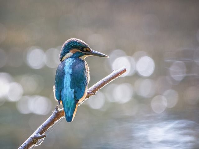 e스포츠 업계에 미칠 영향은 무엇일까?