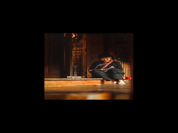 일상생활배상책임보험일배책 범위는?