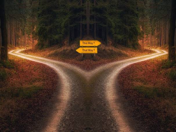 홍성 노인일자리 시니어클럽