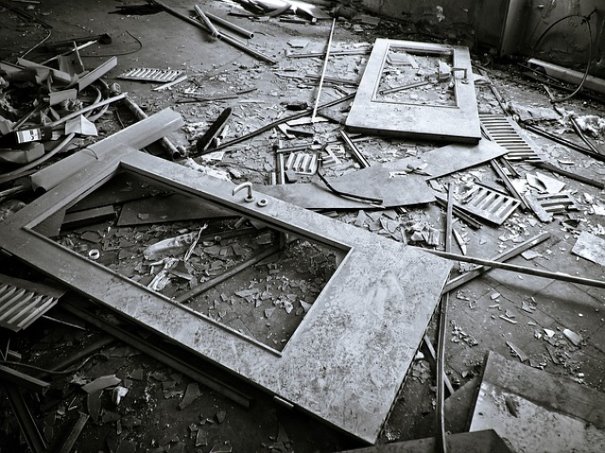 고양이가 포도를 먹으면 생겨나는 증상