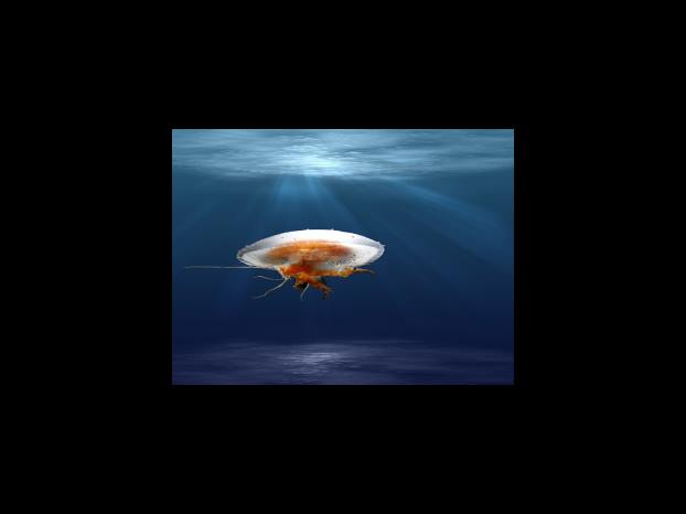 기초연금 수급자격 조건 제외대상