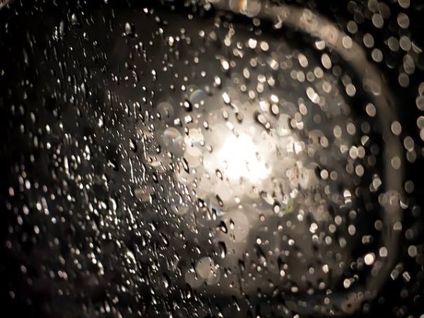 디올 스테디 셀러