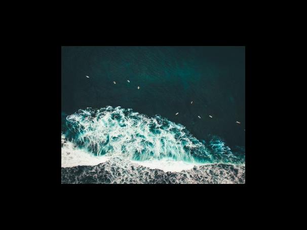 물이 높이 일어난 꿈