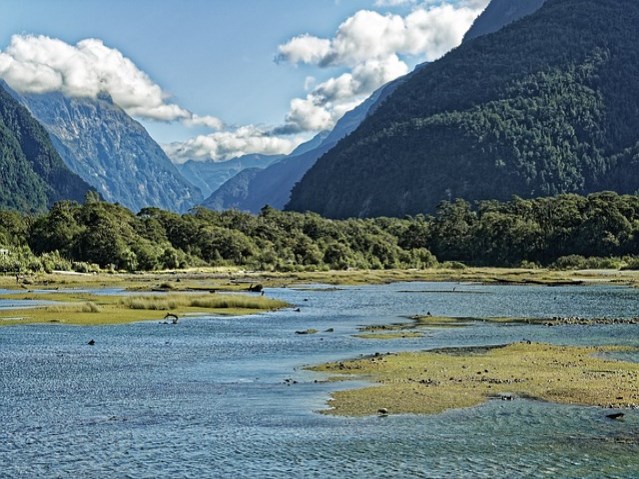 진찰의 기준과 포인트