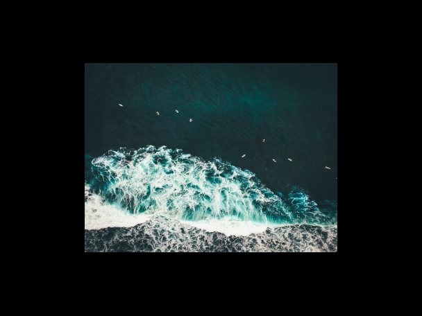 충남대병원 소화기내과 교수 정현용 선생님