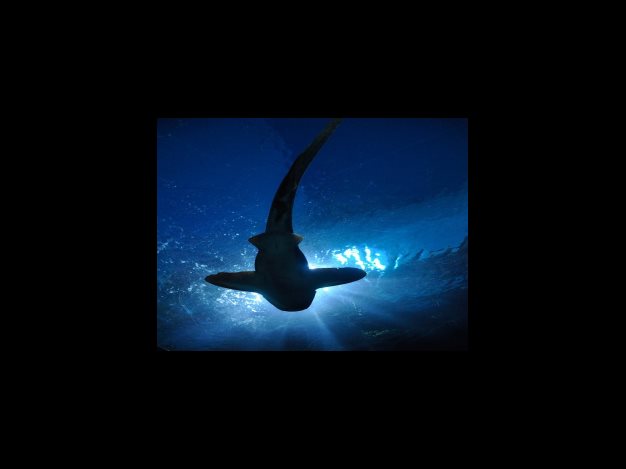 미국 소비자물가 상승