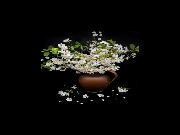 요양 보호 인력 실습 교육과 필기시험 접수