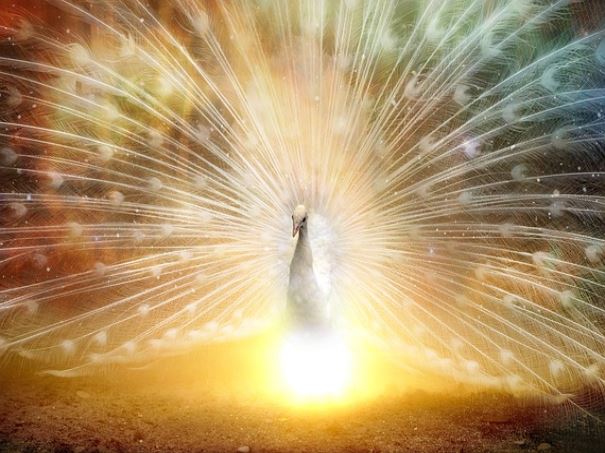 마이뱅크 해외여행자보험 가입방법