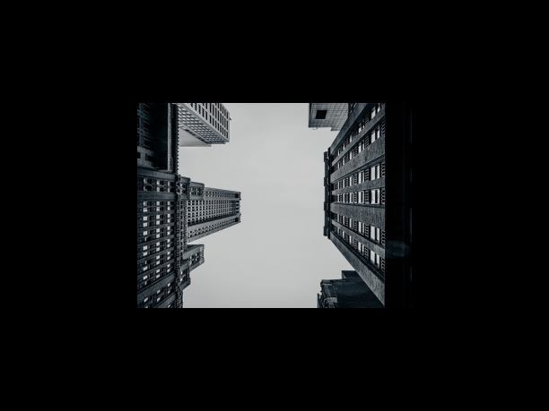 단리 vs 복리 어디까지 알고 있니?