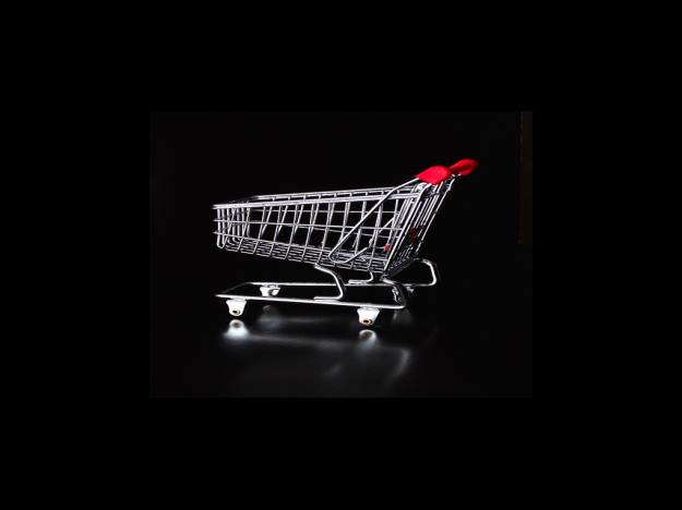 밀크씨슬 Milk Thistl