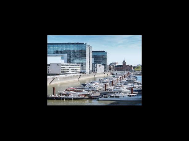 손톱에 영양을 공급하시기 바랍니다.