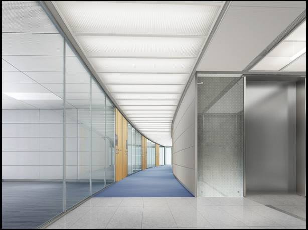 습진 보편적인 증상