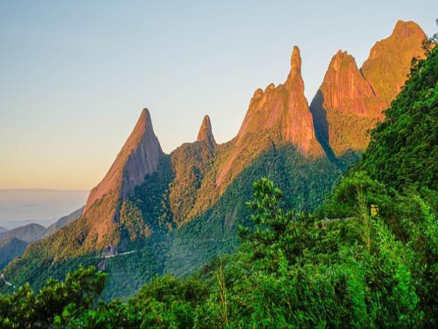과도하게 소금 함유 식품