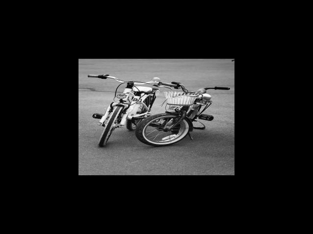 오스템임플란트 회사