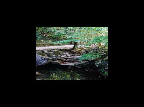 2023년 국민연금 인상률은?