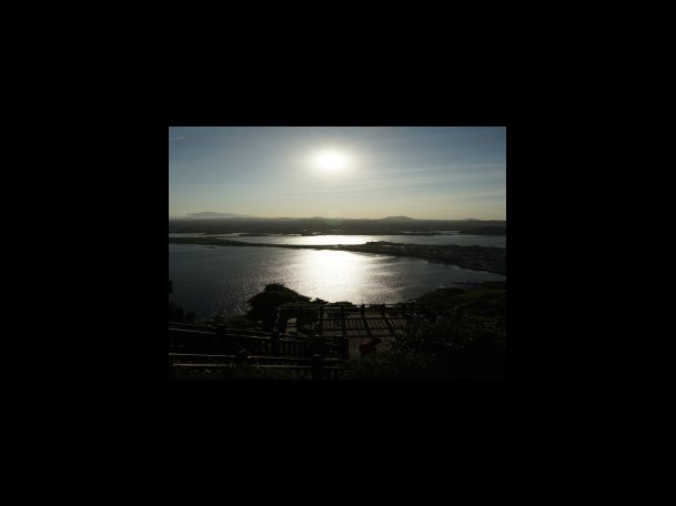 실리마린 밀크시슬 복용법, 오늘 권장량