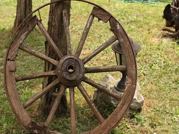 강남연합정형외과의원