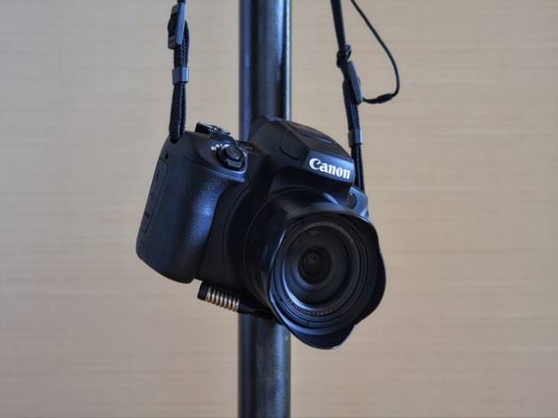 1 정부 규제 및 인정