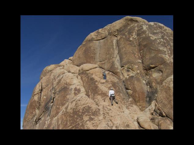 요리와 음료에서의 활용