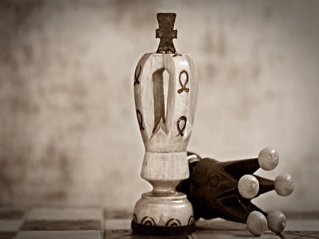 아스파라거스 재배방법 아스파라거스 씨앗