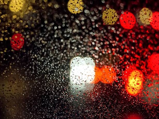 메리츠 더우먼 증권 투자회사