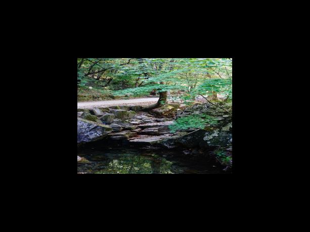 김태영 역 이상엽