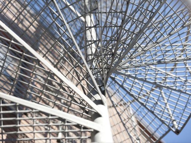 고콜레스테롤혈증고지혈증