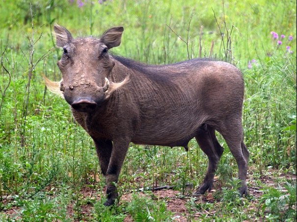 신용카드 등 사용액 늘리기
