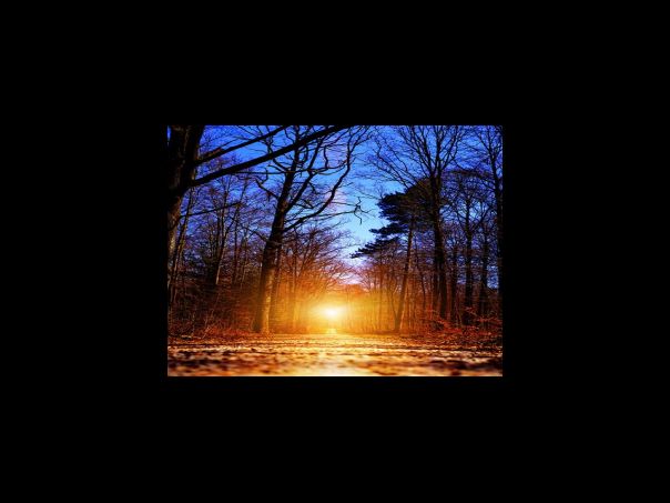 상반기분 근로장려금 신청기간 2023년 9월 1일 9월 15일