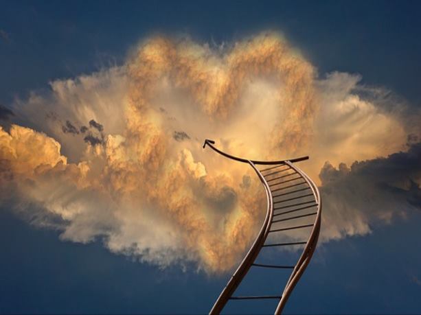 우엉차 마시기 전 주의사항