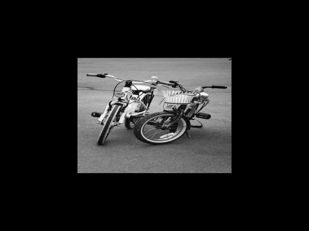 버버리 남성 홀리데이 에디션, 가격정보