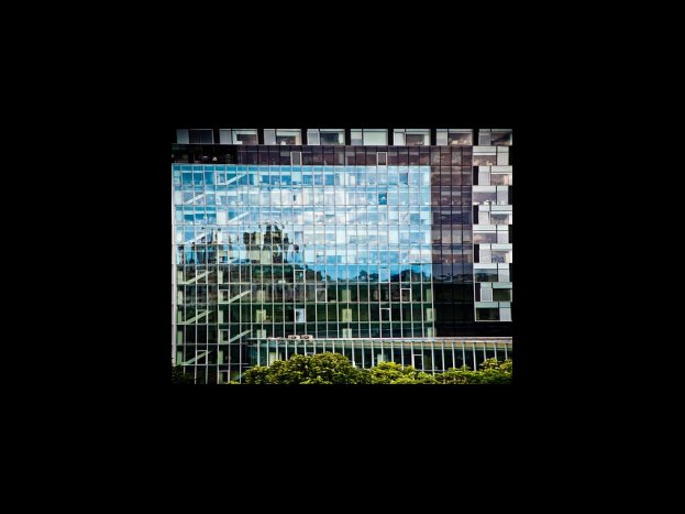 진정서 작성 예시