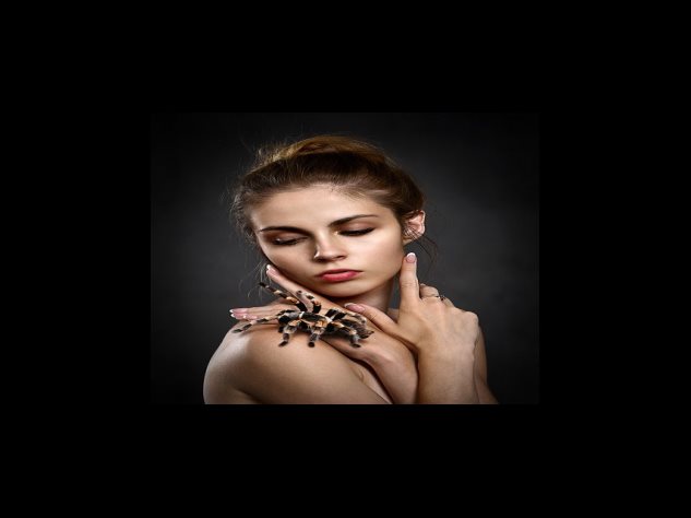 카카오페이 영업 실적, 전망