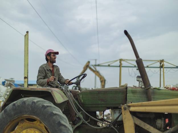 폐암의 생존률 및 발생확률